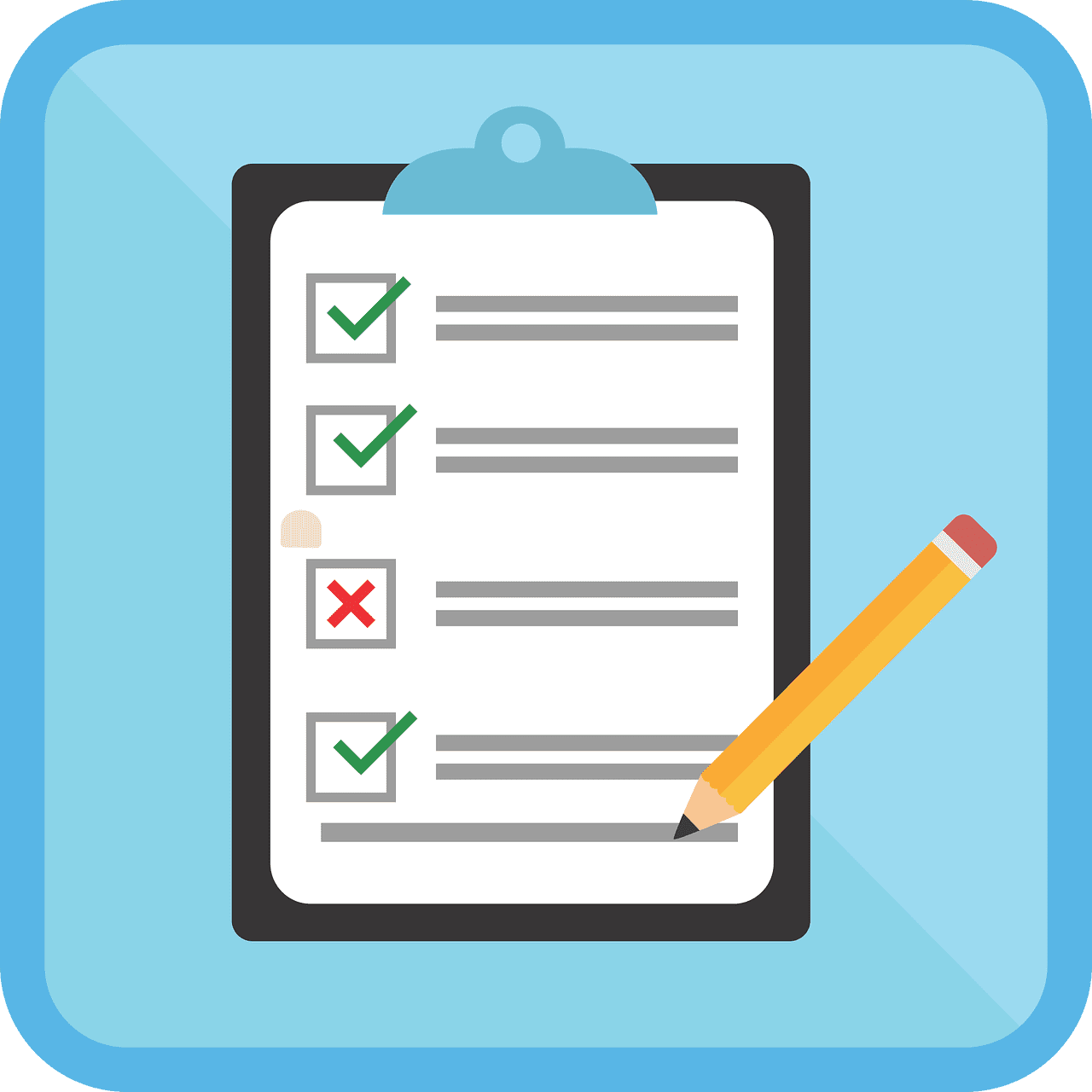 software testing check