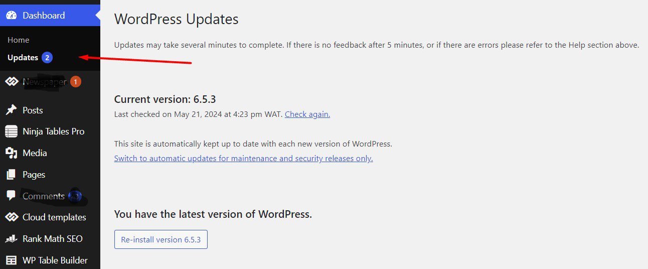 Wordpress Website Hosting Updates